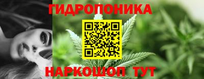 амф Краснознаменск