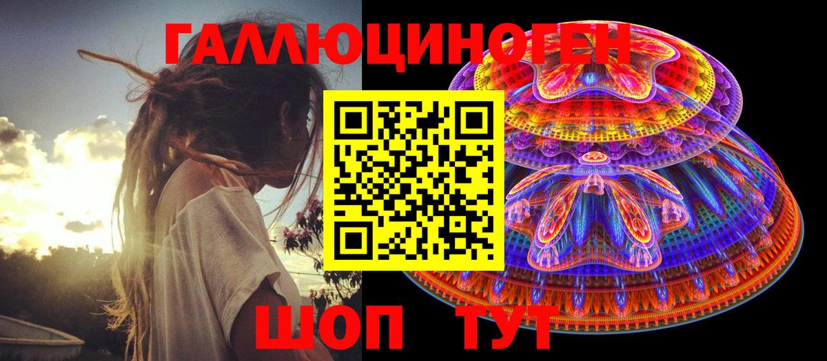 Псилоцибиновые грибы Psilocybe Знаменск