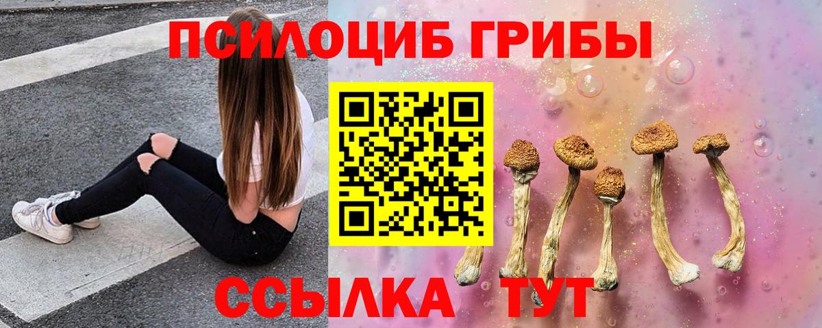 Знаменск  Галлюциногенные грибы ЛСД  Вход с VPN 